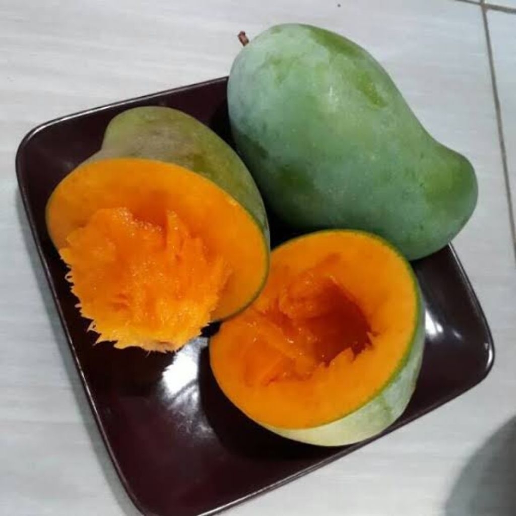 

MANGGA ALPUKAT 1KG BALIKPAPAN