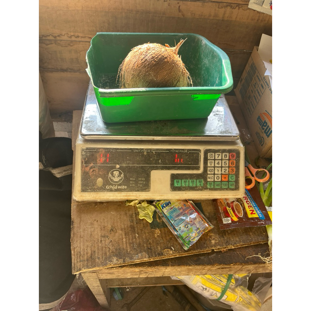 

kelapa buah/kelapa utuh/buah kelapa/ kelapa parud