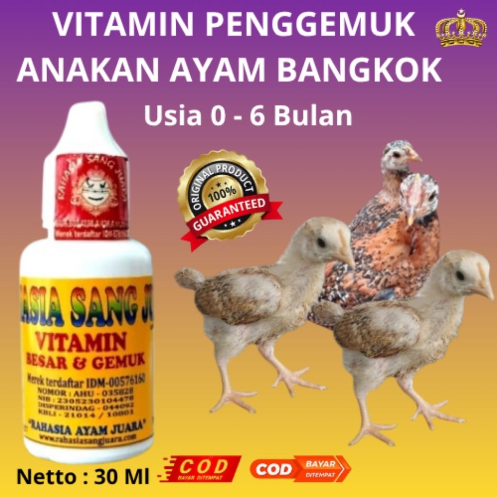 VITAMIN PENGGEMUK ANAK AYAM BANGKOK USIA 1-6 BULAN
