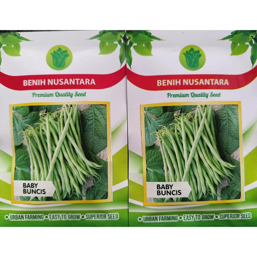 Benih Bibit Baby Buncis Manis - Benih Nusantara