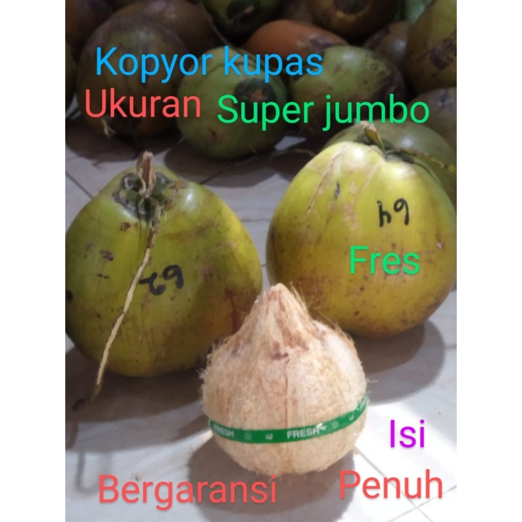 

kopyor utuh kupas, jumbo uk56-58cm