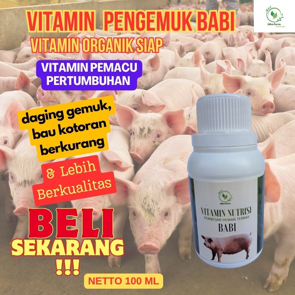Vitamin Organik Cair Pengemuk Ternak Babi. Vitamin Organik Cair Menyehatkan Ternak Babi