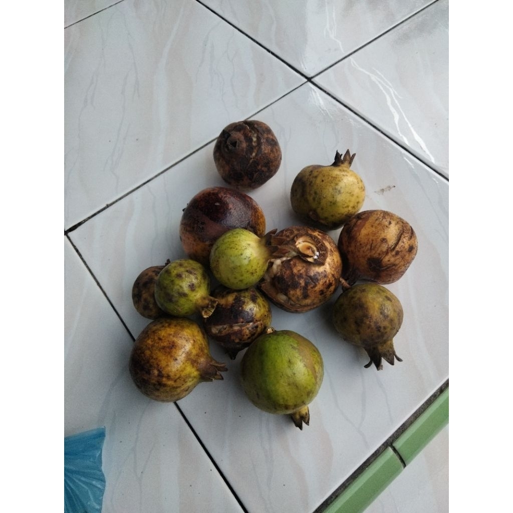

buah delima per 1bijian
