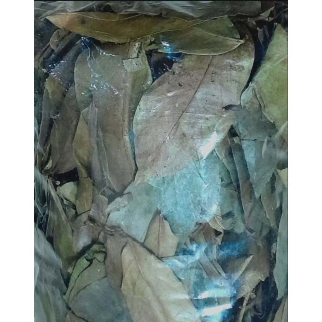 

daun sirsak kering 1 kg