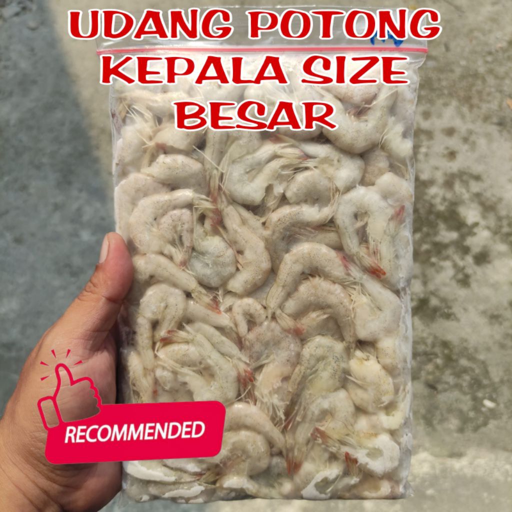 UDANG POTONG KEPALA BEKU / UDANG TANPA KEPALA / UDANG API POTONG KEPALA