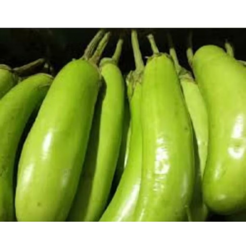 

Sayur Terong hijau/ijo