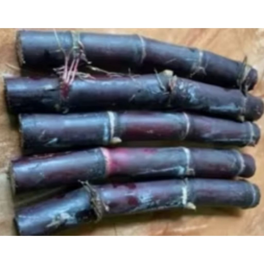 

tebu hitam/ tebu Ireng asli organik fresh 6 potong