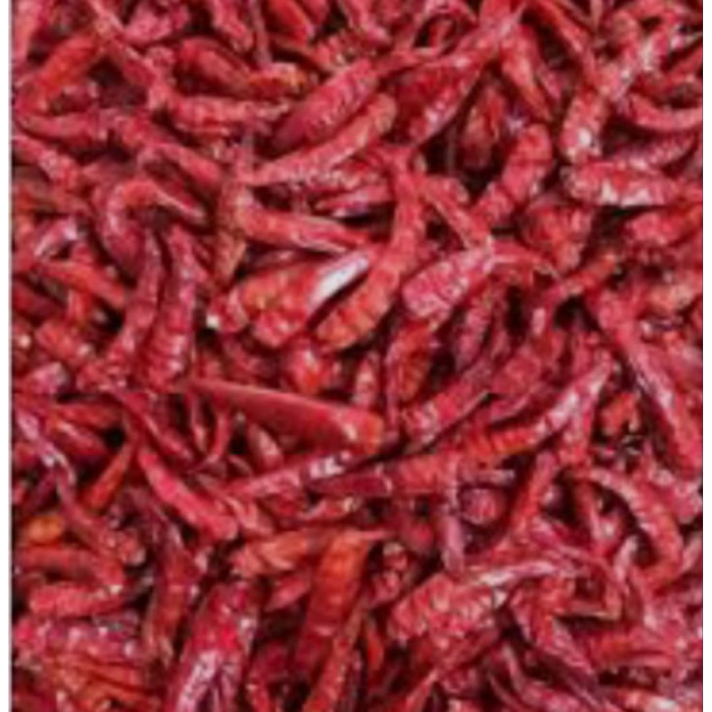 

Cabe rawit caplak/ Cabe teja