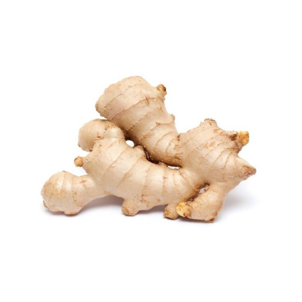 

Kunyit putih Temu putih termurah segar 1kg