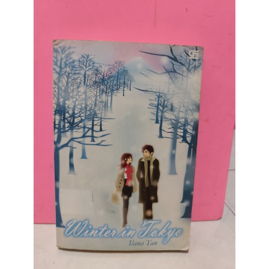 Novel Winter In Tokyo