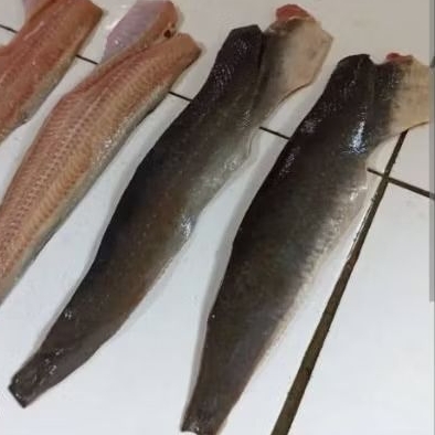 

fillet daging ikan lele 1 kg murah banget