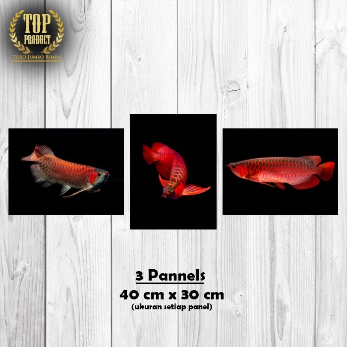 Poster Ikan Arwana Super Red (isi 3) 40x30cm Hiasan Tembok Dinding Ruang Tunggu Tamu Kamar Kerja Kan