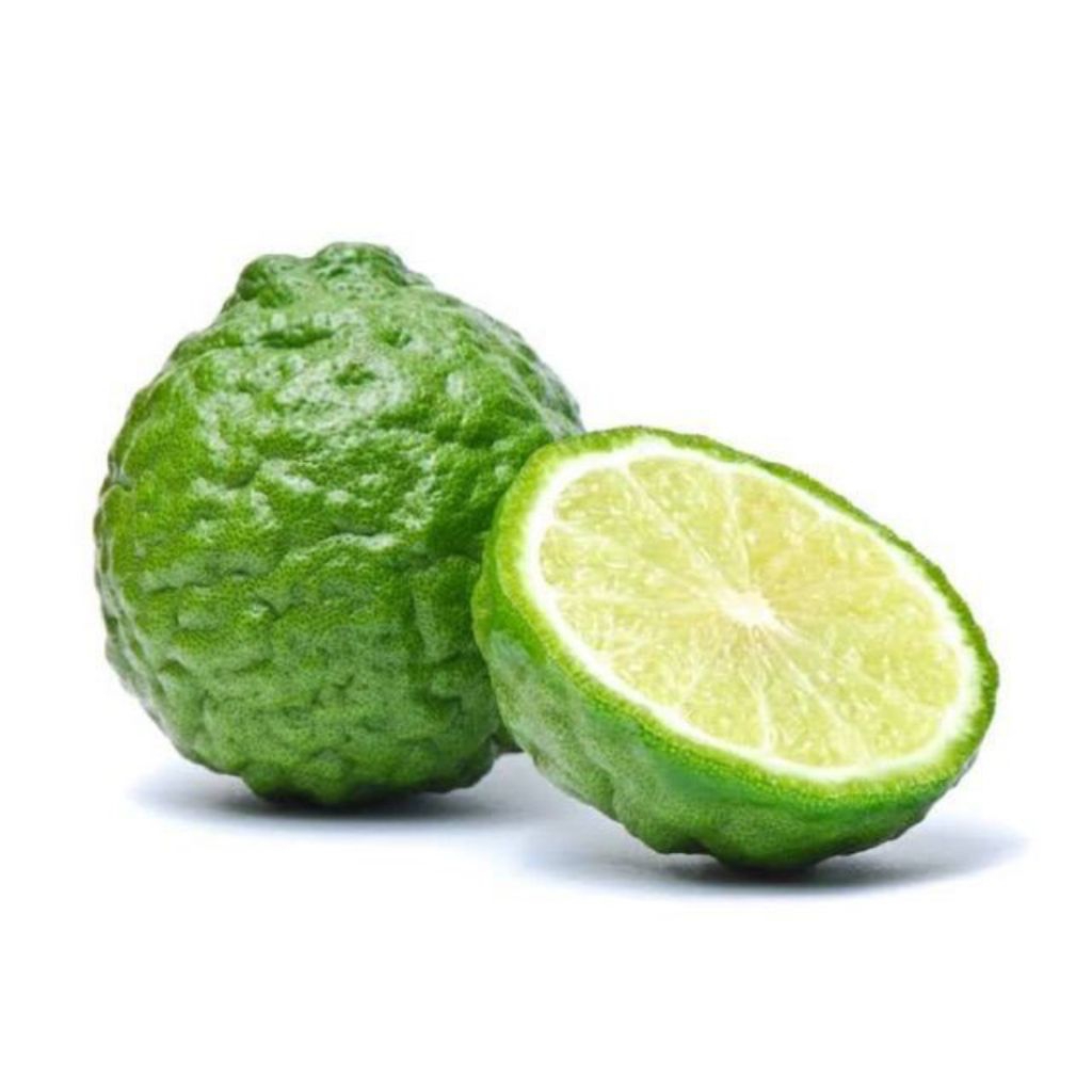 

buah jeruk purut segar perbiji per pcs