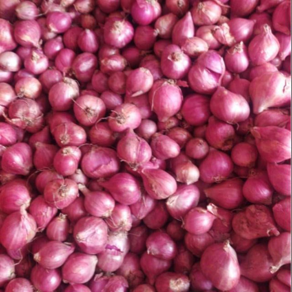 

bawang merah (bima) 1/kg