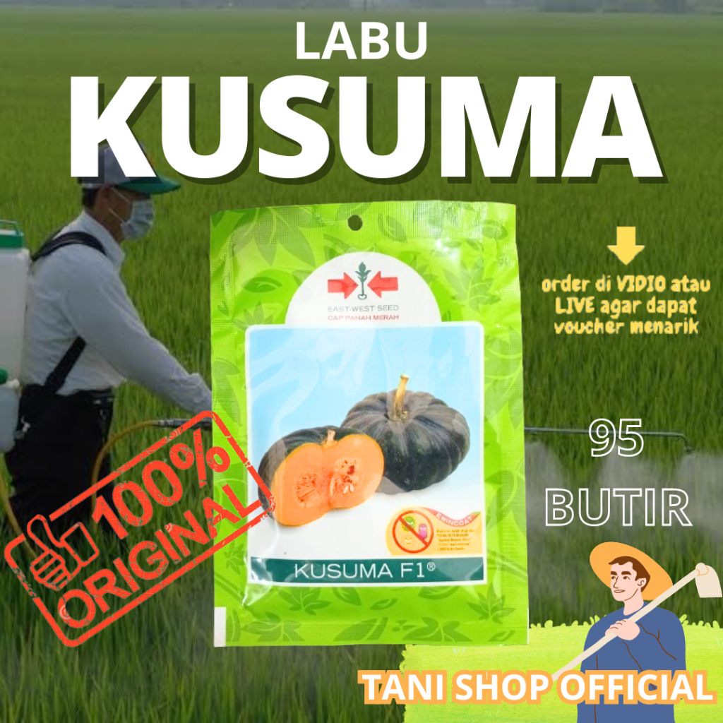 

SMS - Benih labu Kusuma F1 95 butir labu kuning