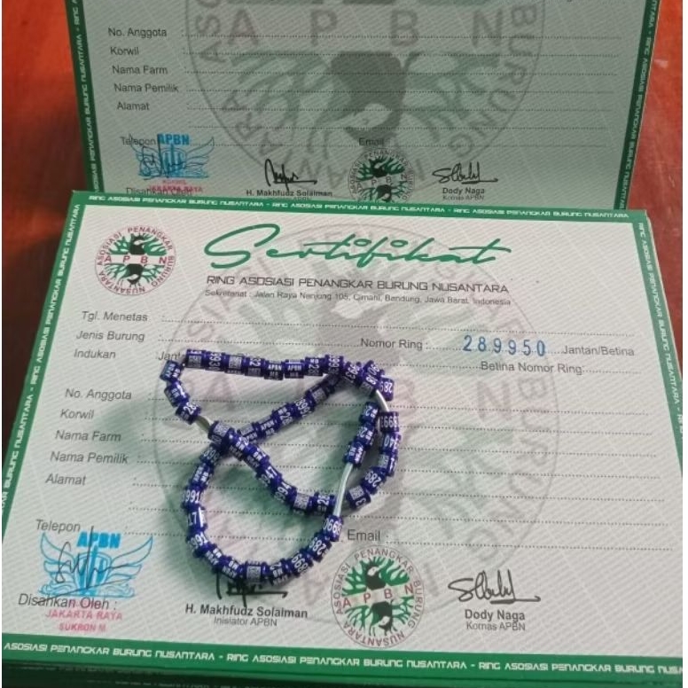 Ring APBN Terbaru Untuk Murai Batu dan Kacer Plus Sertifikat Asli Yayasan|| Ring Apbn Khusus Untuk P