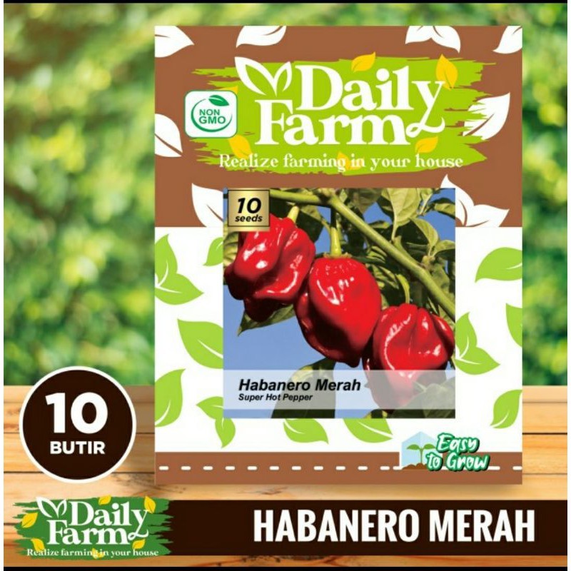 

SMS - Benih cabe merah super pedas Super Hot Habanero Merah 10 butir dari daily farm