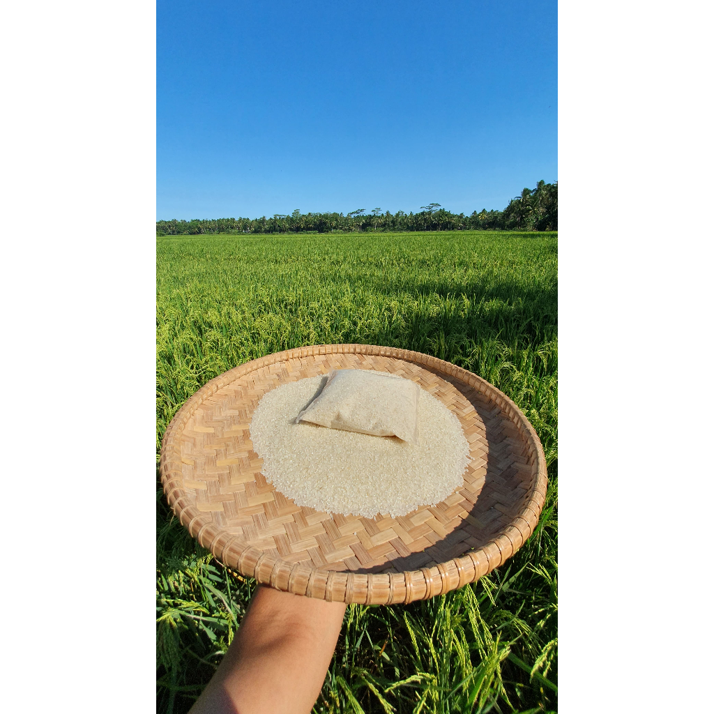 

Japonica Rice Beras Sushi Premium Beras Jepang Mustofa Farm®