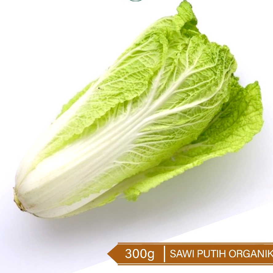

Sawi Putih Organik 300g / Organic Chinese Cabbage 300g