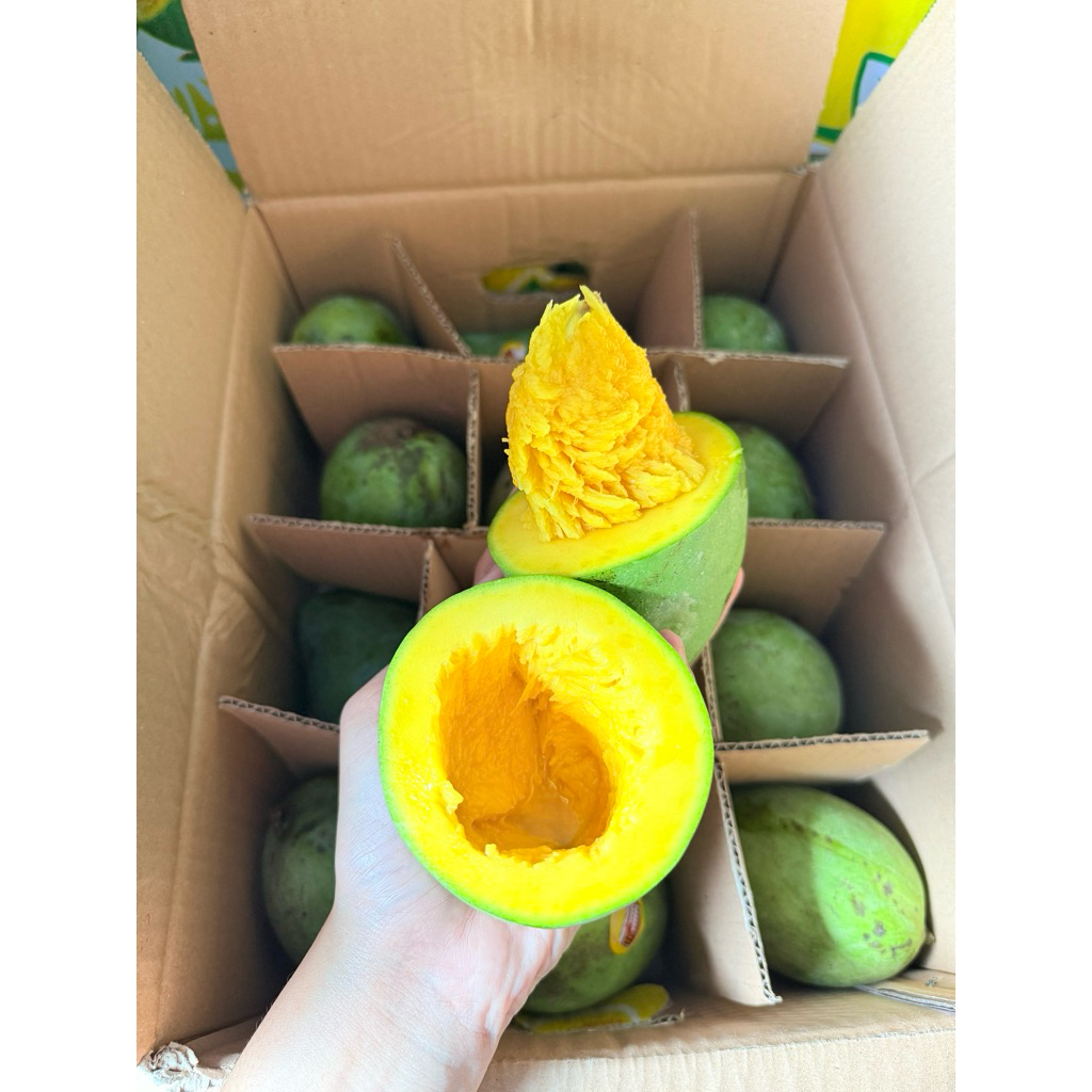 mangga alpukat bangil Pasuruan 5kg