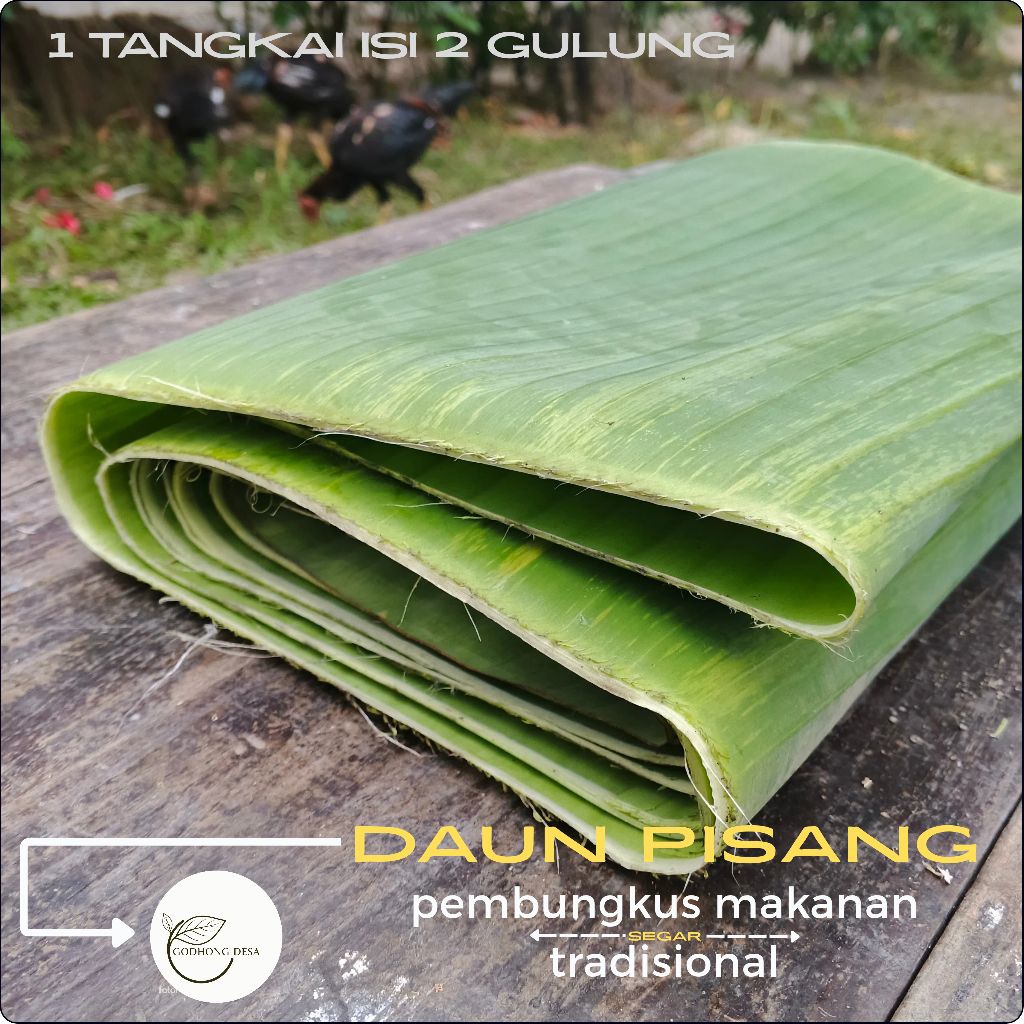 

DAUN PISANG l Daun Pembungkus Alami per 1 tangkai isi 2 gulung