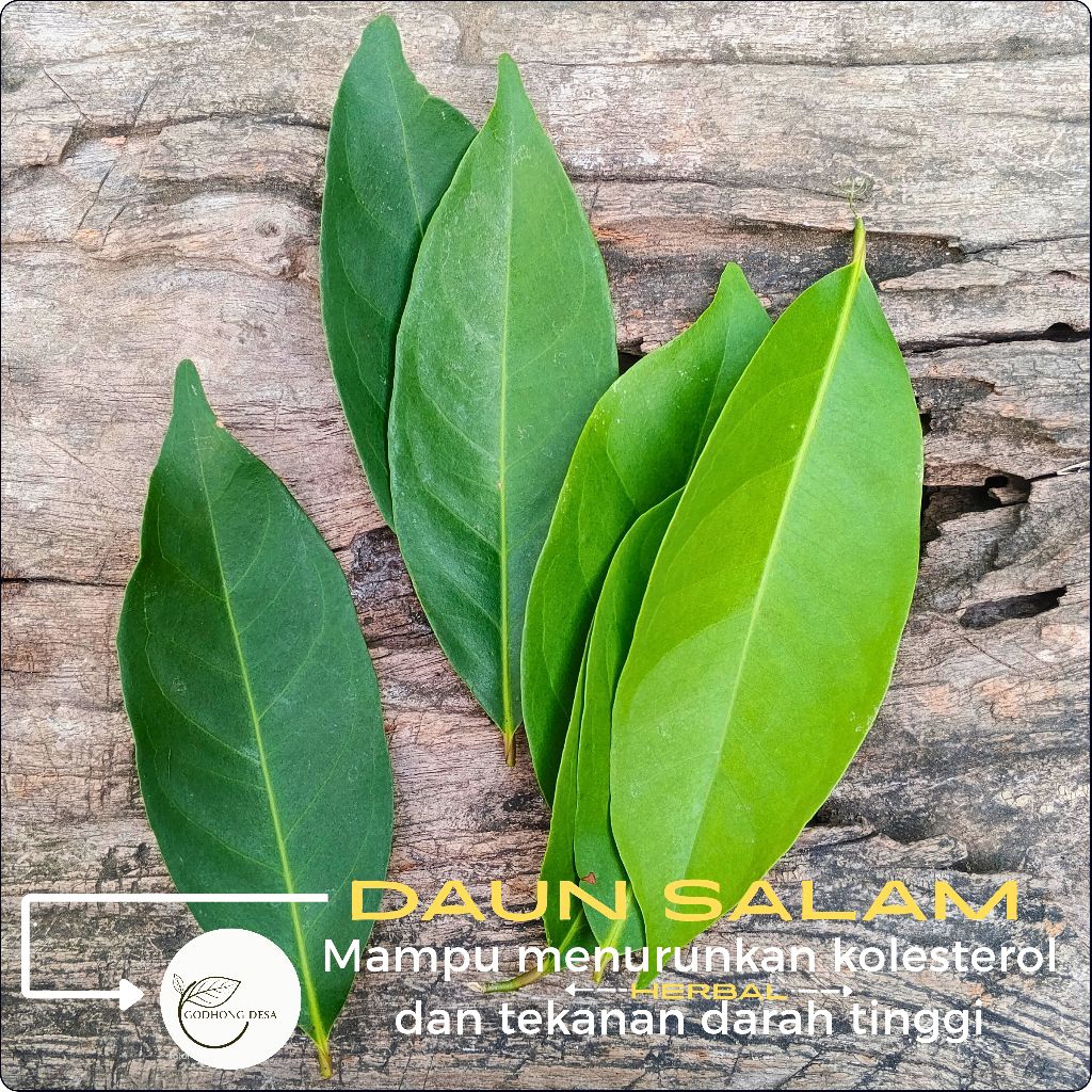 

DAUN SALAM l bumbu dapur per 100gr