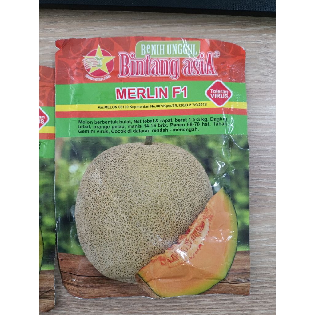 BIBIT BENIH MELON MERLIN F1 - Benih unggul BIBIT ASIA - TOLERAN VIRUS- BIBIT MELON