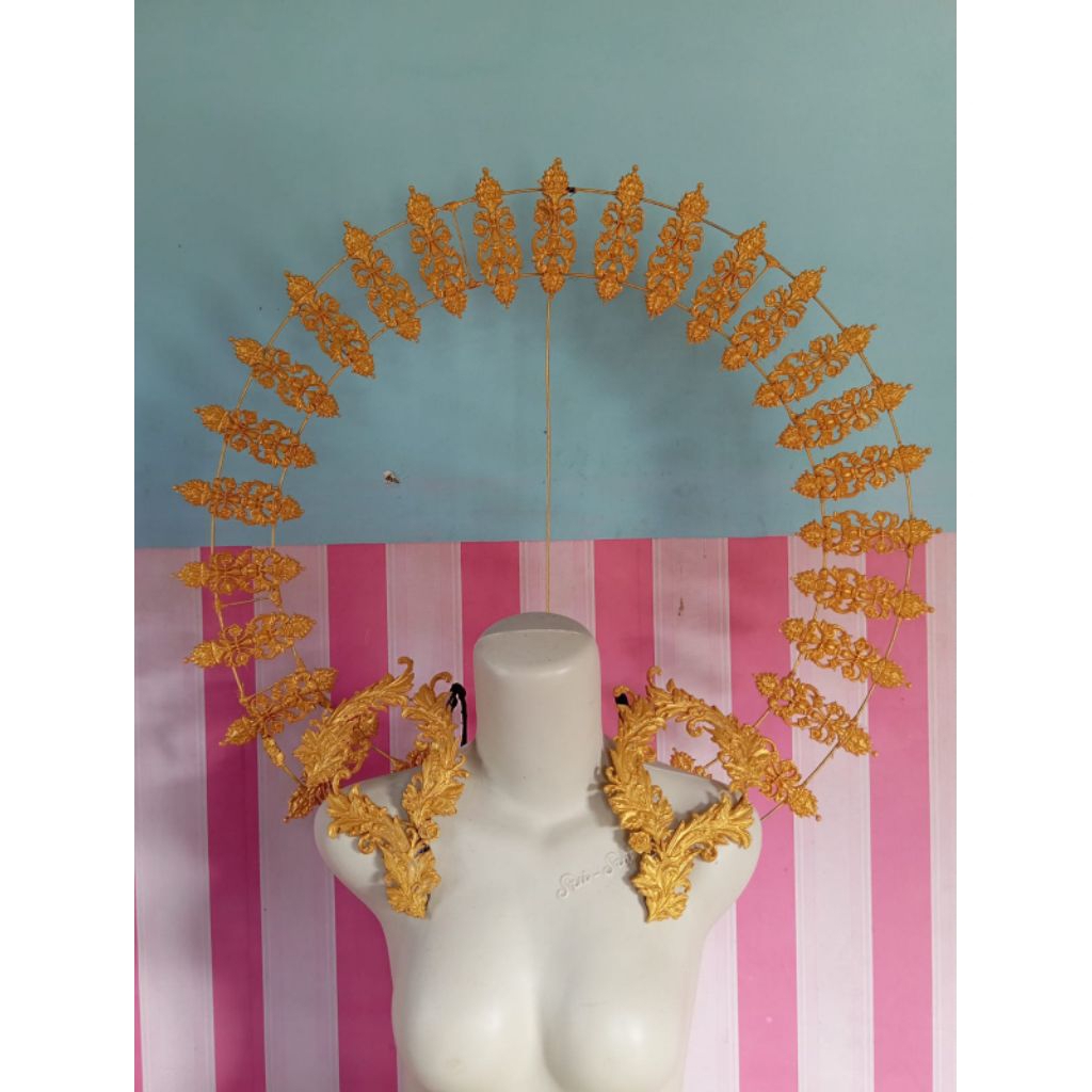 Maskot karnaval bulat / maskot sayap kostum karnaval