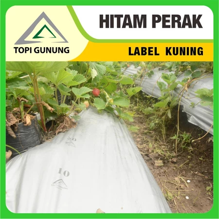 Plastik Mulsa Pertanian Hitam 1 Roll kecil 8.5kg Cap KTG Murah
