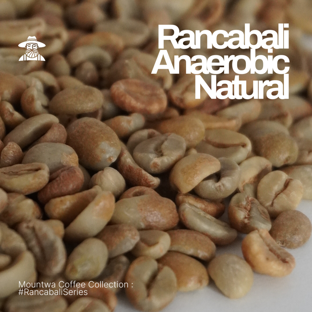 

green bean arabika Rancabali Natural Anaerobic/ Biji Kopi Mentah 1kg