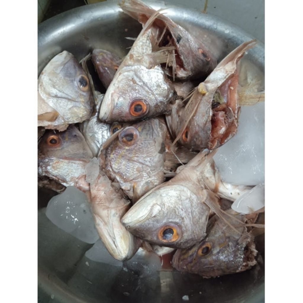 

kepala ikan kakap 1kg