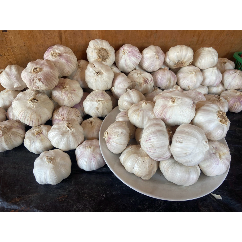 

Bawang Putih honan/sinco 1 kg