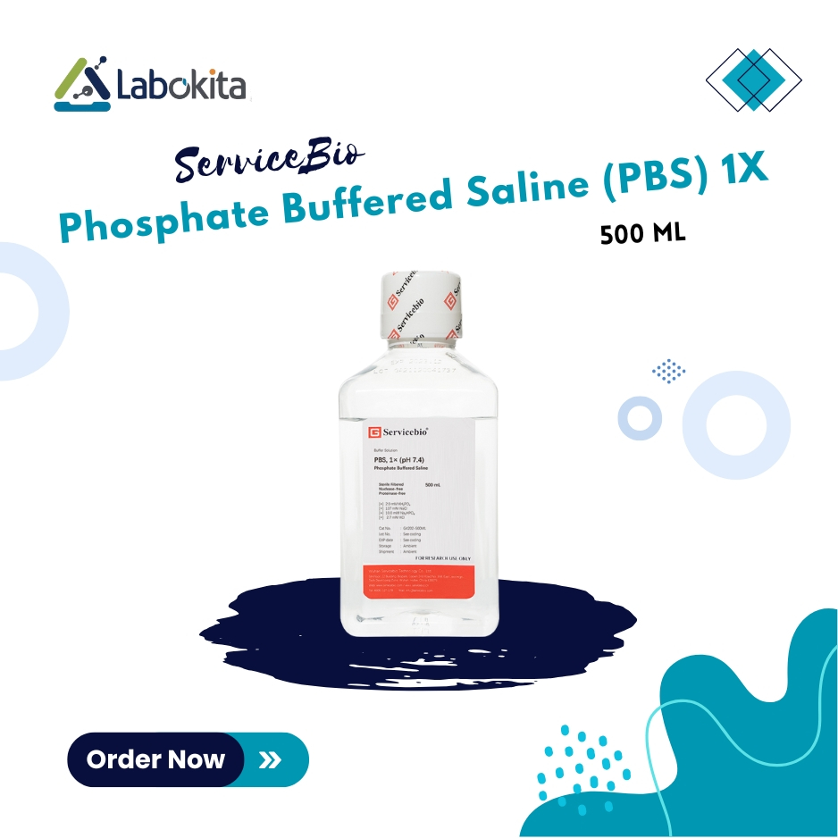 ServiceBio Phosphate Buffered Saline (PBS) 1X 500 mL