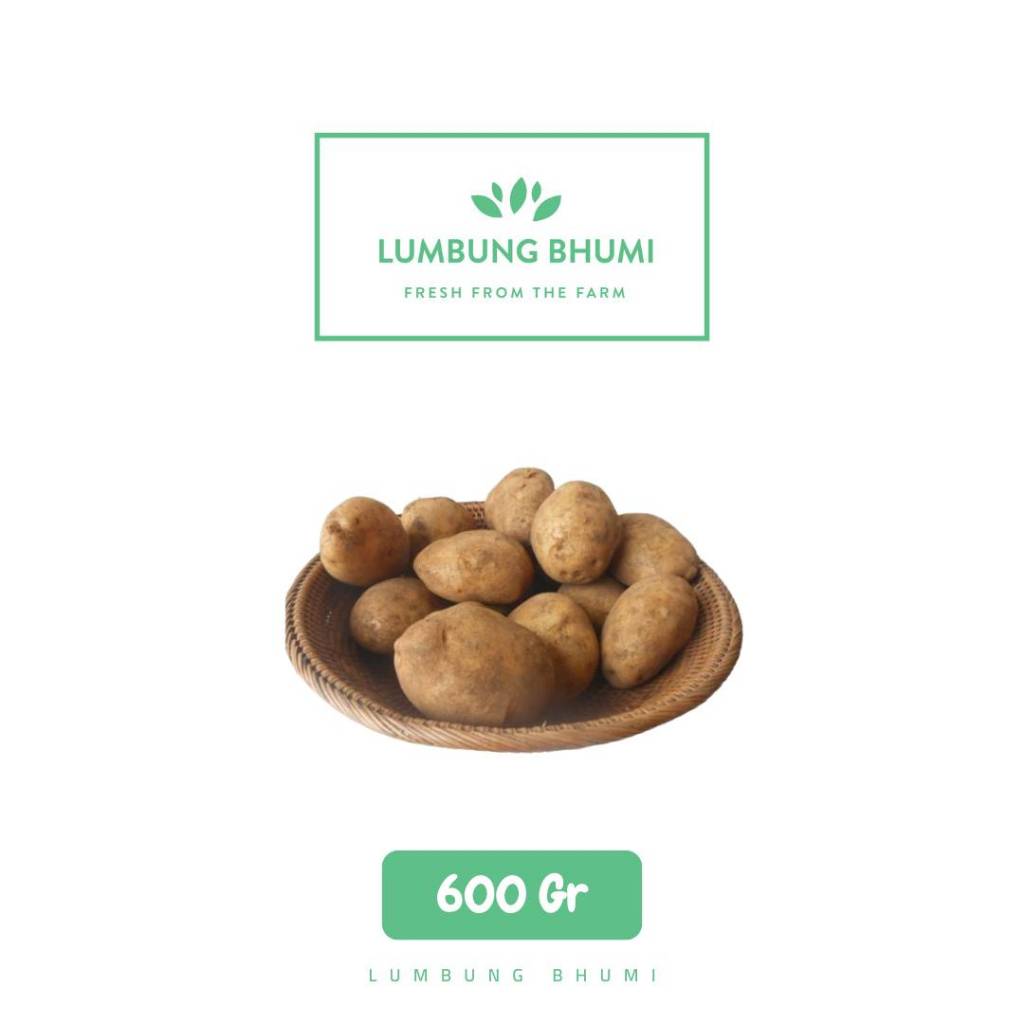 

Kentang Dieng Besar Sayur 600 Gr - Lumbung Bhumi