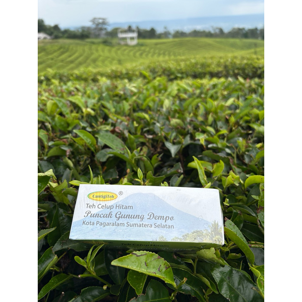 

teh ctc celup hitam khas gunung dempo