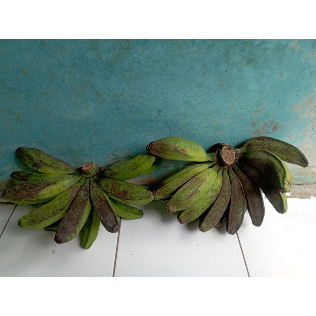 

buah pisang kepok super per sikat