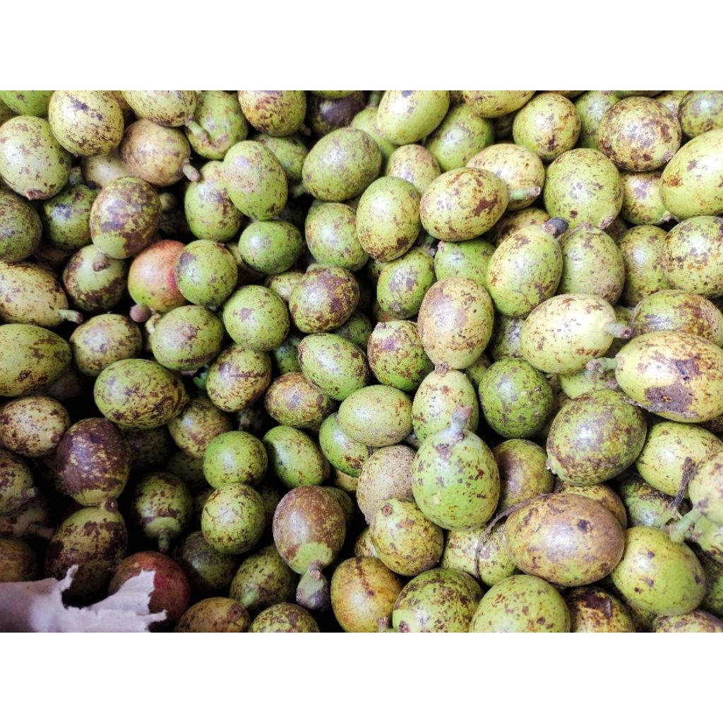 

buah mato langka/kg