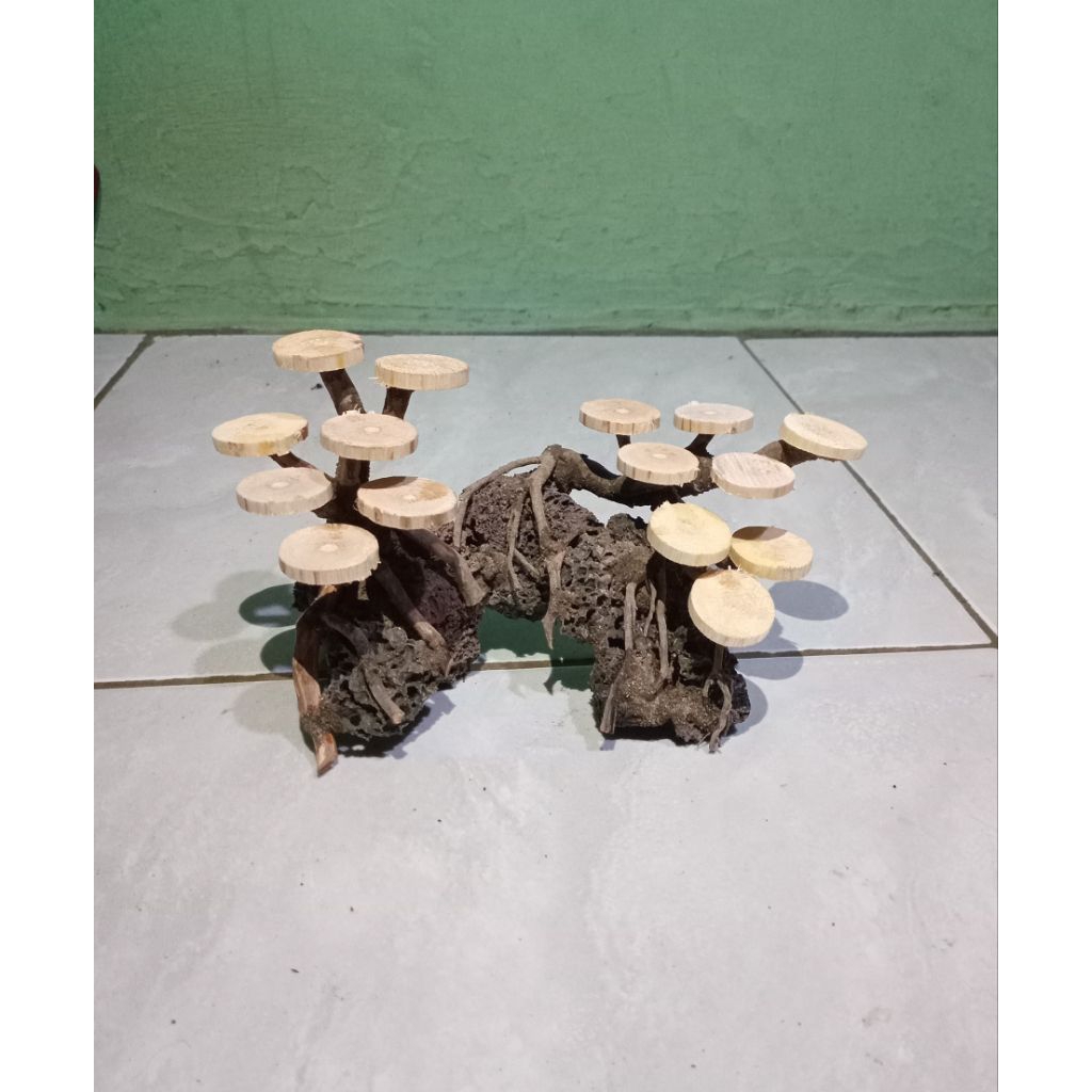 Bonsai mini hardscape akuarium/aquascape