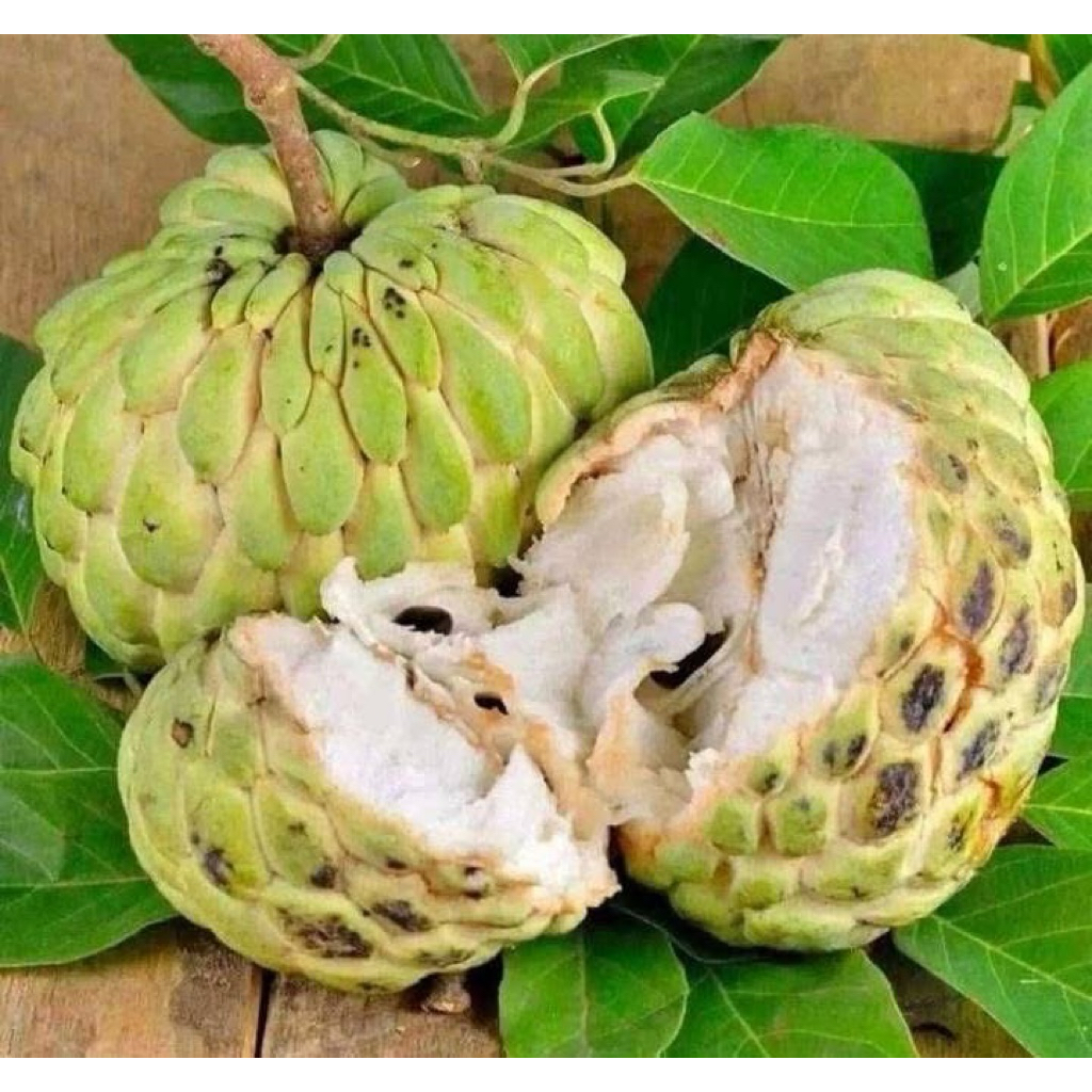 

srikaya Bangkok -+1 kg