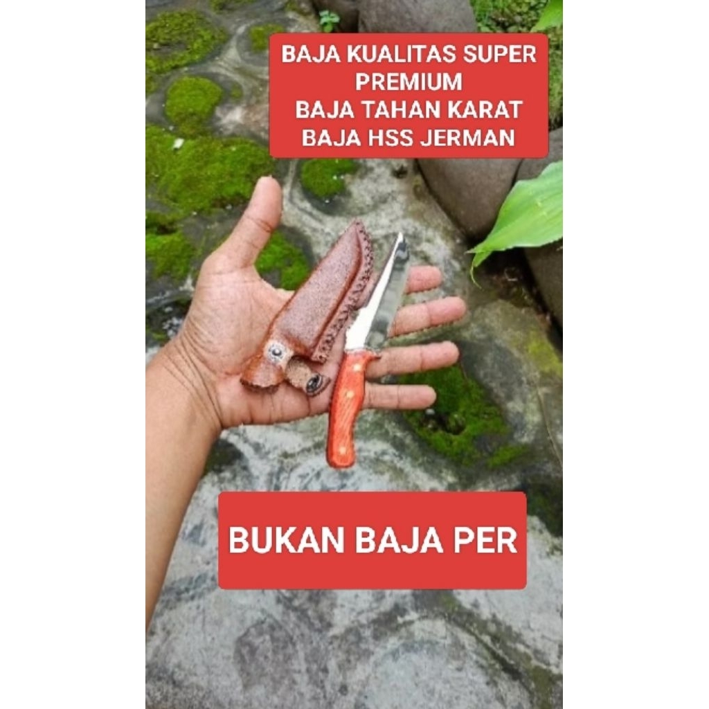 pisau kecil mini simpel elegan fulltang baja hss mewah praktis pisau outdoor pisau bushcraft skinner