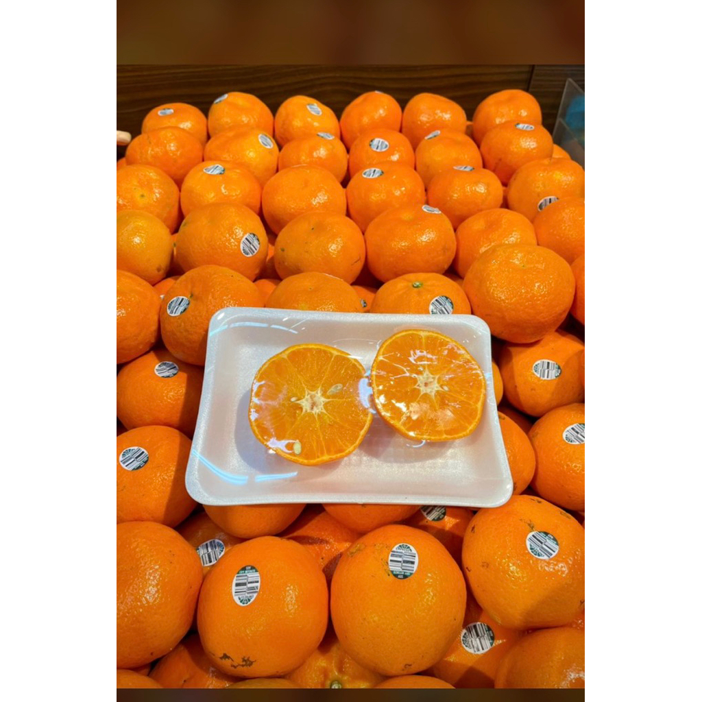 

Jeruk murcot empres manis segar tampa biji / jeruk empres seedless banyak air 1kg