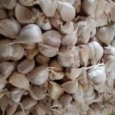 

bawang kating 500gram