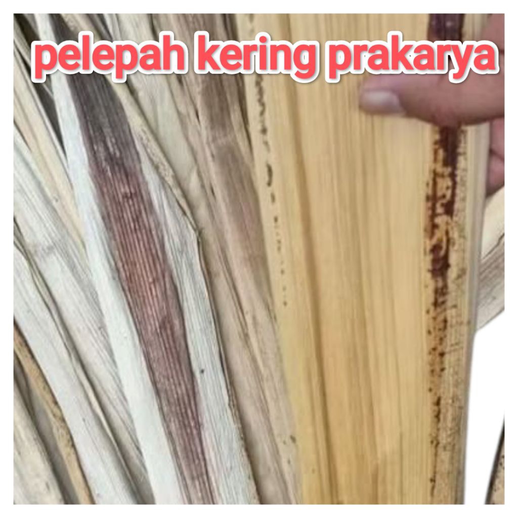 

Pelepah pisang kering untuk bahan kerajinan 85 cm / debog/gedebog kering bahan kerajinan krafting.