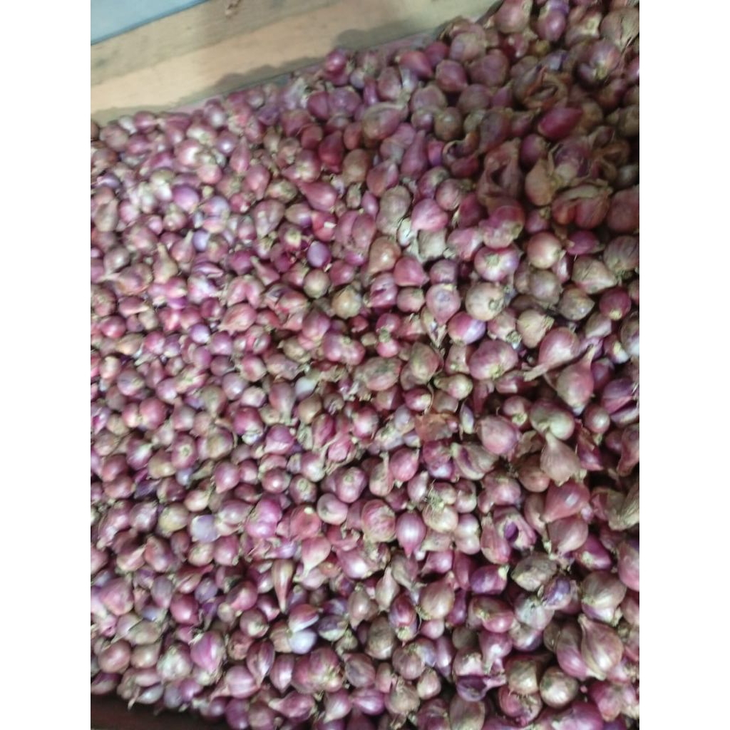 

Bawang Merah Brebes 1 Kg Fresh Harga Terjangkau