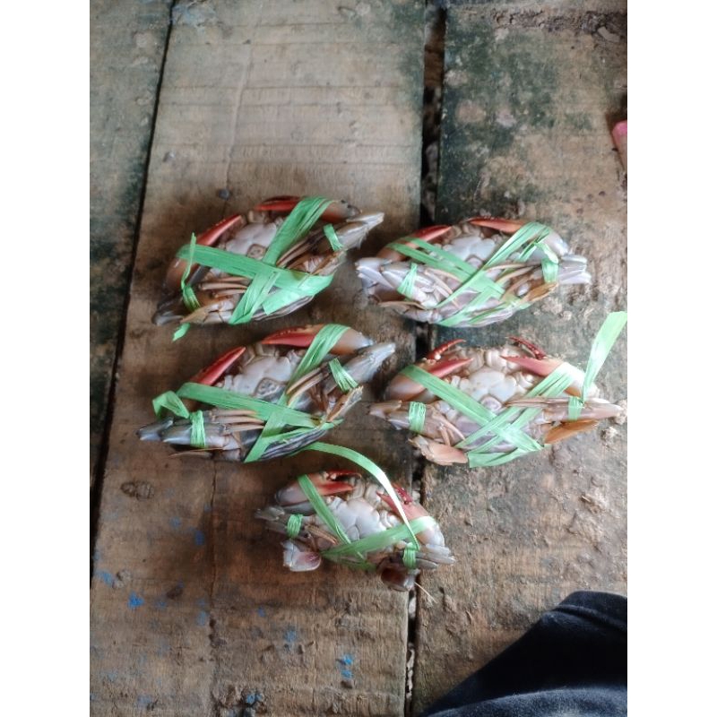 

kepiting baku 2kg