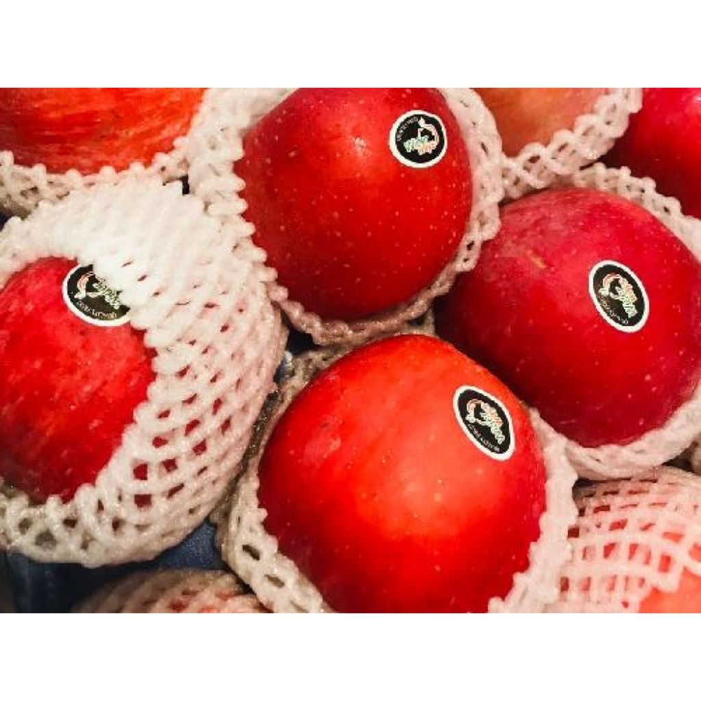 

APEL FUJI ROSY BLUSH / APEL FUJI MANIS GARING