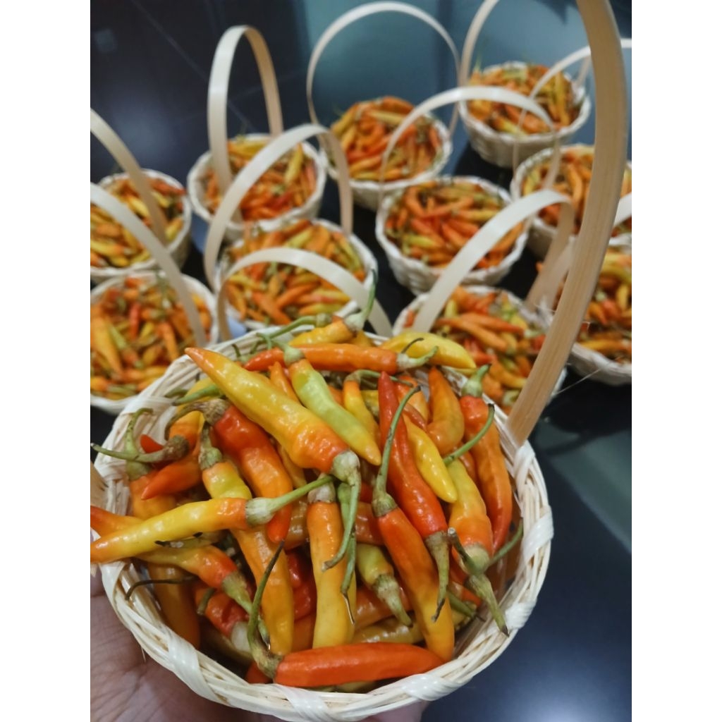 

Cabai Rawit Merah 1 kg (Cabai Sehat Bebas Fungisida)