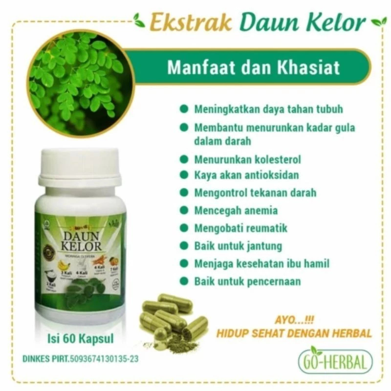 

Ekstrak Daun Kelor Se-Botol Isi 60 kapsul