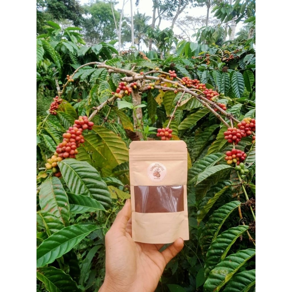 

kopi robusta murni 100% asli kopi Temanggung . kemasan 35g