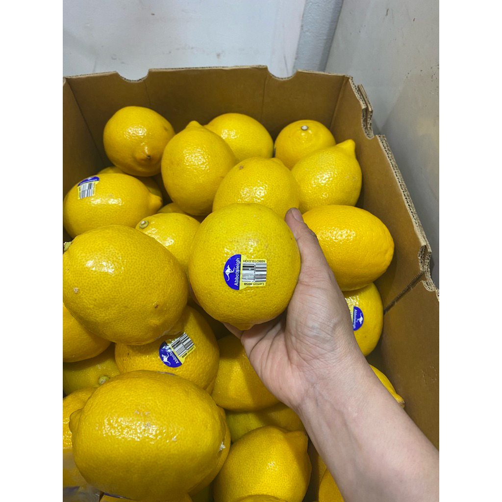 

LEMON IMPORT (FRESH ENAK MURAH)